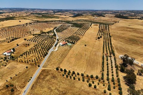 Farm hus i Alandroal, Evora, Alandroal - € 550.000 | Ref: C0364-04838 - foto 6