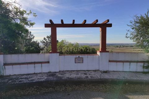 Tomt i Chamusca, Santarem, Chamusca - € 290 000 | Ref: C0364-04962 - foto 5