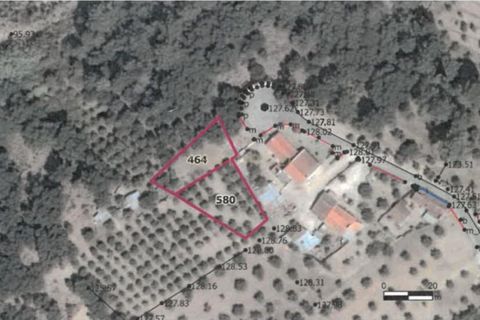 Tomt i Chamusca, Santarem, Chamusca - € 290 000 | Ref: C0364-04962 - foto 2