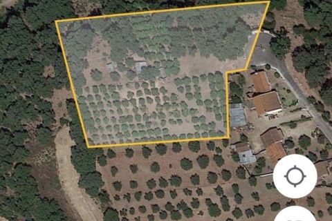 Tomt i Chamusca, Santarem, Chamusca - € 290 000 | Ref: C0364-04962 - foto 6