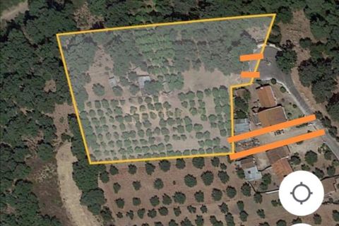 Tomt i Chamusca, Santarem, Chamusca - € 290 000 | Ref: C0364-04962 - foto 7