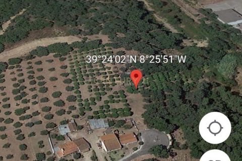 Tomt i Chamusca, Santarem, Chamusca - € 290 000 | Ref: C0364-04962 - foto 8