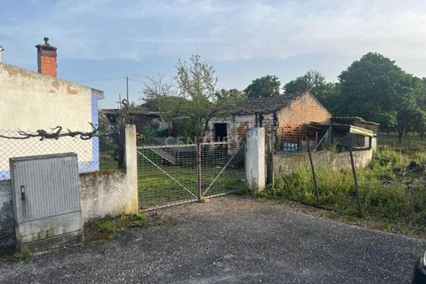 Tomt i Chamusca, Santarem, Chamusca - € 290 000 | Ref: C0364-04962 - foto 12