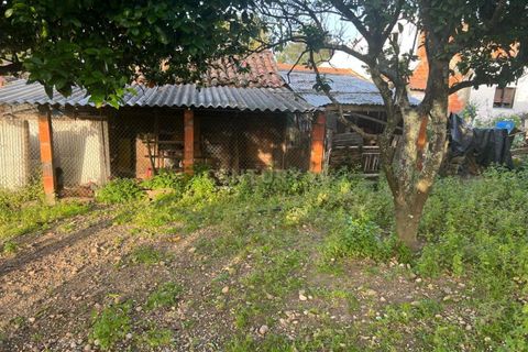 Tomt i Chamusca, Santarem, Chamusca - € 290 000 | Ref: C0364-04962 - foto 13