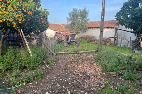 Tomt i Chamusca, Santarem, Chamusca - € 290 000 | Ref: C0364-04962 - foto 14