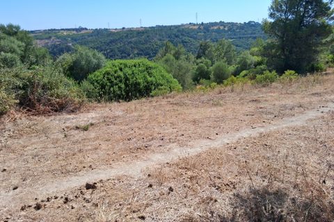 Helårsgrund i Azambuja, Lisbon, Azambuja - € 35.000 | Ref: C0364-04774 - foto 14
