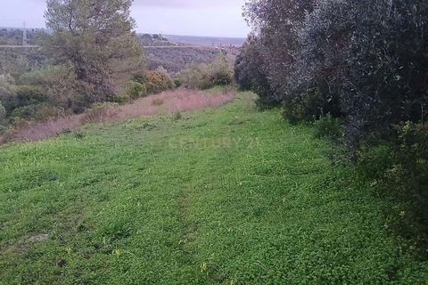 Helårsgrund i Azambuja, Lisbon, Azambuja - € 35.000 | Ref: C0364-04774 - foto 12