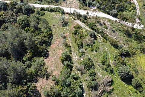 Helårsgrund i Azambuja, Lisbon, Azambuja - € 35.000 | Ref: C0364-04774 - foto 3
