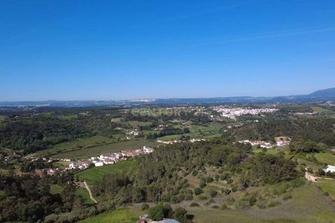 Helårsgrund i Azambuja, Lisbon, Azambuja - € 35.000 | Ref: C0364-04774 - foto 5