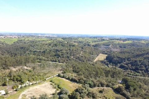Helårsgrund i Azambuja, Lisbon, Azambuja - € 35.000 | Ref: C0364-04774 - foto 7