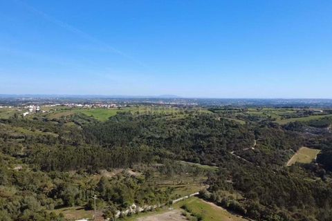 Helårsgrund i Azambuja, Lisbon, Azambuja - € 35.000 | Ref: C0364-04774 - foto 10