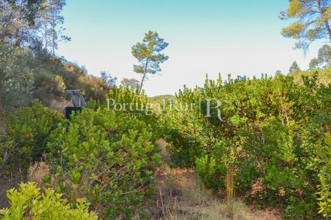 Helårsgrund i Proenca-a-Nova, Castelo Branco, Proenca-a-Nova - € 10.000 | Ref: SA239-B - foto 3