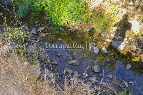 Helårsgrund i Proenca-a-Nova, Castelo Branco, Proenca-a-Nova - € 10.000 | Ref: SA239-B - foto 5