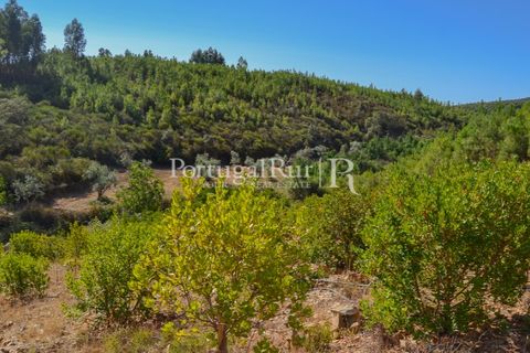 Helårsgrund i Proenca-a-Nova, Castelo Branco, Proenca-a-Nova - € 10.000 | Ref: SA239-B - foto 11