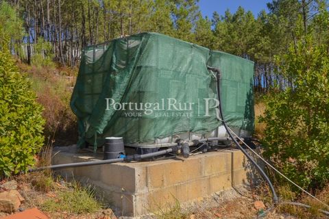 Helårsgrund i Proenca-a-Nova, Castelo Branco, Proenca-a-Nova - € 10.000 | Ref: SA239-B - foto 12