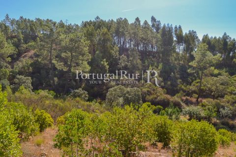 Helårsgrund i Proenca-a-Nova, Castelo Branco, Proenca-a-Nova - € 10.000 | Ref: SA239-B - foto 14