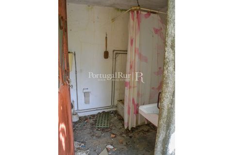 Landejendom i Proenca-a-Nova, Castelo Branco, Proenca-a-Nova - € 30.000 | Ref: SA230 - foto 15