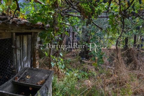 Landejendom i Proenca-a-Nova, Castelo Branco, Proenca-a-Nova - € 30.000 | Ref: SA230 - foto 17
