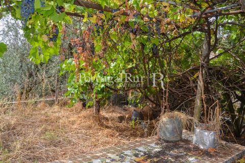 Landejendom i Proenca-a-Nova, Castelo Branco, Proenca-a-Nova - € 30.000 | Ref: SA230 - foto 19