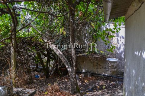 Landejendom i Proenca-a-Nova, Castelo Branco, Proenca-a-Nova - € 30.000 | Ref: SA230 - foto 20