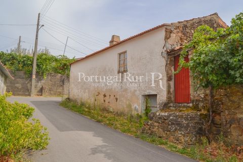 Landejendom i Proenca-a-Nova, Castelo Branco, Proenca-a-Nova - € 30.000 | Ref: SA230 - foto 23