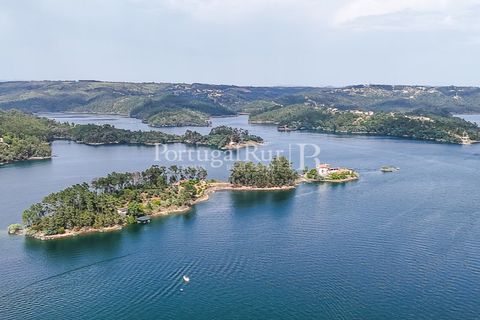 Erhvervsejendom i Tomar, Santarem, Tomar - € 575.000 | Ref: FG344 - foto 2