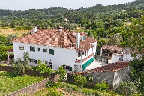 Erhvervsejendom i Tomar, Santarem, Tomar - € 575.000 | Ref: FG344 - foto 3