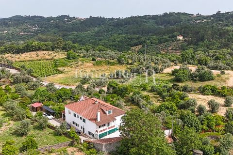 Erhvervsejendom i Tomar, Santarem, Tomar - € 575.000 | Ref: FG344 - foto 4