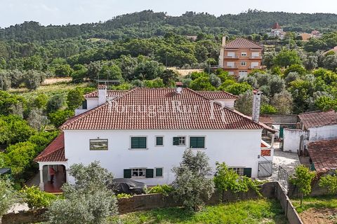 Erhvervsejendom i Tomar, Santarem, Tomar - € 575.000 | Ref: FG344 - foto 5