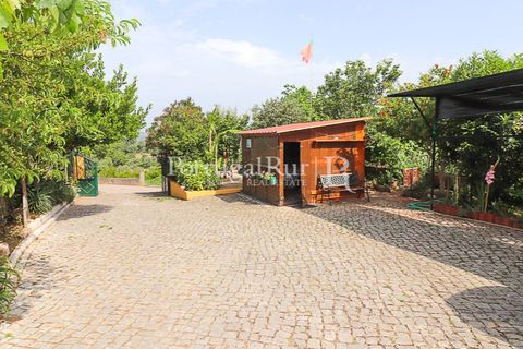 Erhvervsejendom i Tomar, Santarem, Tomar - € 575.000 | Ref: FG344 - foto 11