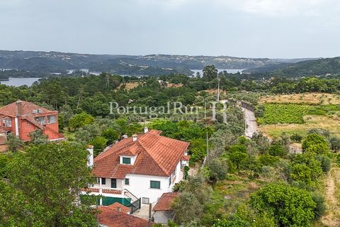 Erhvervsejendom i Tomar, Santarem, Tomar - € 575.000 | Ref: FG344 - foto 42
