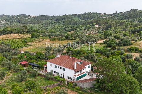 Erhvervsejendom i Tomar, Santarem, Tomar - € 575.000 | Ref: FG344 - foto 43