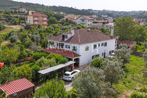 Erhvervsejendom i Tomar, Santarem, Tomar - € 575.000 | Ref: FG344 - foto 44