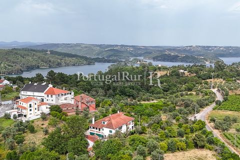 Erhvervsejendom i Tomar, Santarem, Tomar - € 575.000 | Ref: FG344 - foto 47