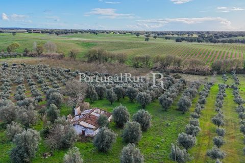 Farm hus i Avis, Portalegre, Avis - € 224.000 | Ref: FG480 - foto 1