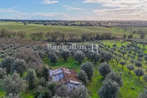 Farm hus i Avis, Portalegre, Avis - € 224.000 | Ref: FG480 - foto 2
