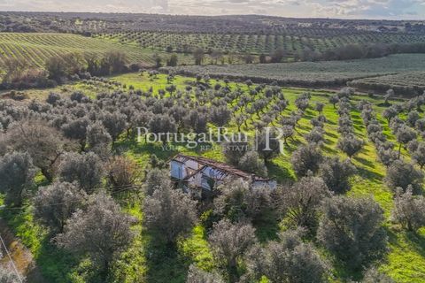 Farm hus i Avis, Portalegre, Avis - € 224.000 | Ref: FG480 - foto 4
