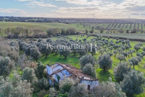 Farm hus i Avis, Portalegre, Avis - € 224.000 | Ref: FG480 - foto 5