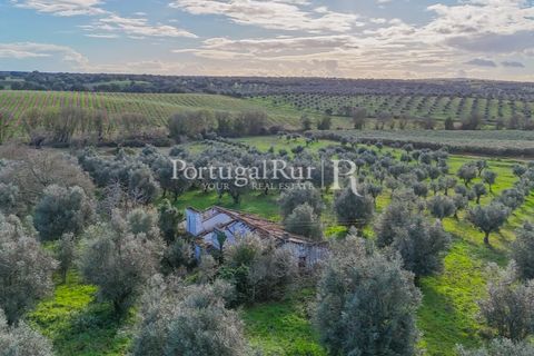 Farm hus i Avis, Portalegre, Avis - € 224.000 | Ref: FG480 - foto 6
