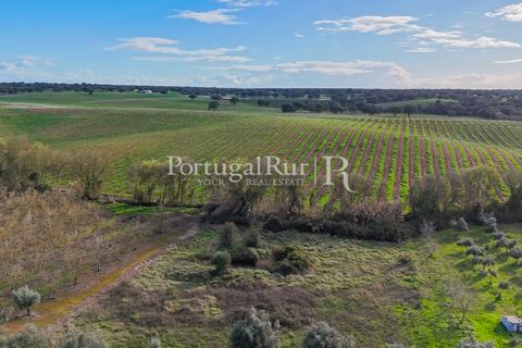 Farm hus i Avis, Portalegre, Avis - € 224.000 | Ref: FG480 - foto 8