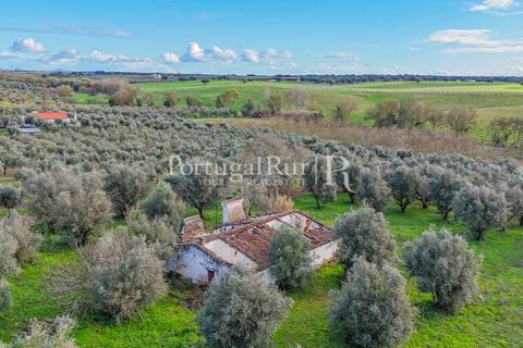 Farm hus i Avis, Portalegre, Avis - € 224.000 | Ref: FG480 - foto 13