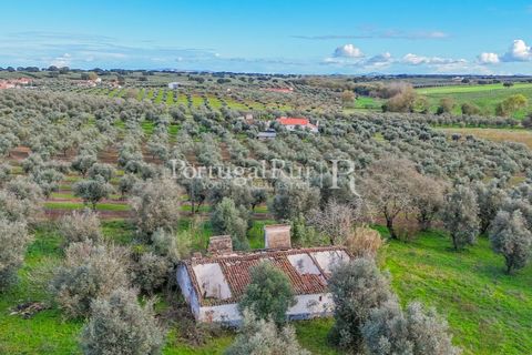 Farm hus i Avis, Portalegre, Avis - € 224.000 | Ref: FG480 - foto 14