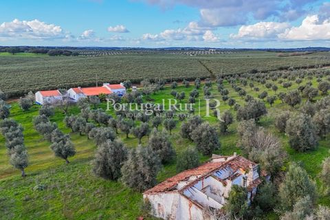 Farm hus i Avis, Portalegre, Avis - € 224.000 | Ref: FG480 - foto 17
