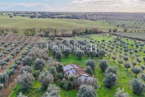 Farm hus i Avis, Portalegre, Avis - € 224.000 | Ref: FG480 - foto 18