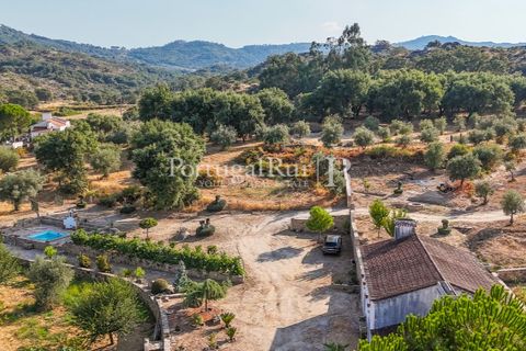 Granja a Castelo de Vide, Portalegre, Castelo de Vide - € 800.000 | Ref: FG438 - foto 6