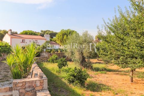 Granja a Castelo de Vide, Portalegre, Castelo de Vide - € 800.000 | Ref: FG438 - foto 10