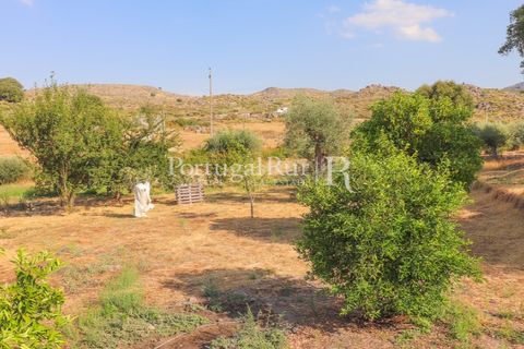 Granja a Castelo de Vide, Portalegre, Castelo de Vide - € 800.000 | Ref: FG438 - foto 42