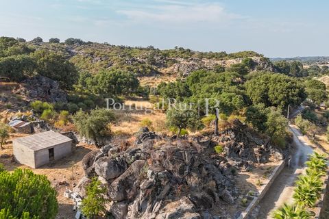 Granja a Castelo de Vide, Portalegre, Castelo de Vide - € 800.000 | Ref: FG438 - foto 43