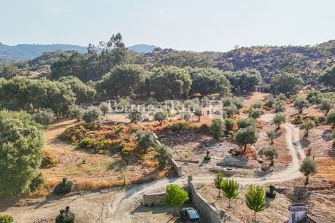 Granja a Castelo de Vide, Portalegre, Castelo de Vide - € 800.000 | Ref: FG438 - foto 44