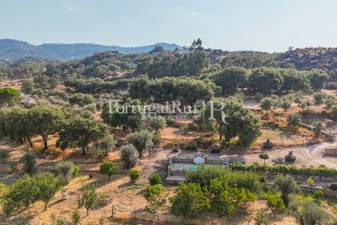 Granja a Castelo de Vide, Portalegre, Castelo de Vide - € 800.000 | Ref: FG438 - foto 47